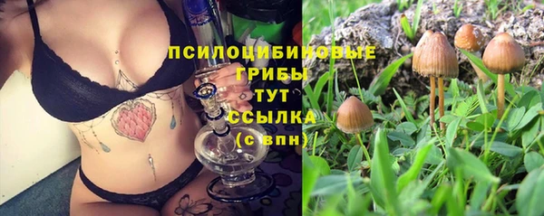 синтетический гашиш Алексин
